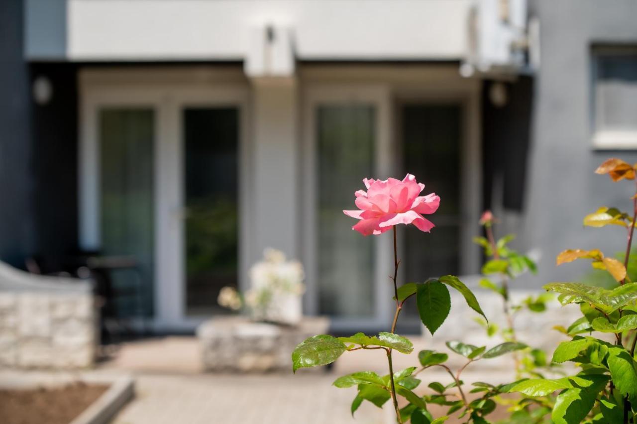Complex Paloma Coral Ξενοδοχείο Mamaia Εξωτερικό φωτογραφία